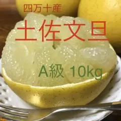 【A級・10kg】安心の〝減農薬栽培〟