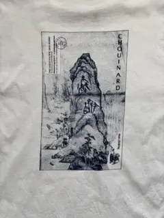 Patagonia パタゴニア　クライミング　M オーガニック　Tシャツ