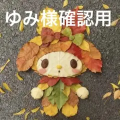 【ゆみ様確認用】11/1