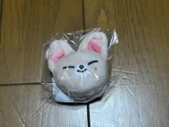 スキズ　skzoo フォクシニー　アイエン　クリスマスポップアップ　マグネット