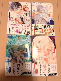 突風とビート　1〜4巻