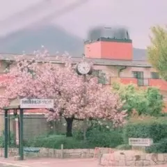 桜様専用
