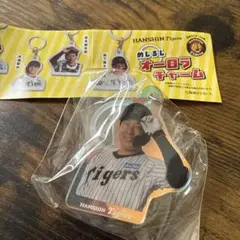 阪神タイガース めじるしオーロラチャーム 大山悠輔選手