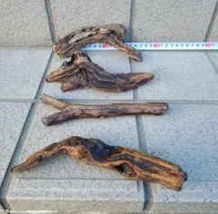 流木セット 自然な形状 4本 煮沸済み