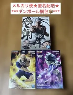 ハンターハンター 音を置き去りにした VIBRATION ネテロ メルエム 3体