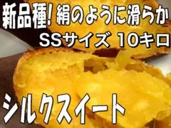 10kg シルクスイート SSサイズ☆しっとり滑らか甘いさつまいも