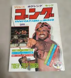 2025年最新】タイガージェット シンの人気アイテム - メルカリ