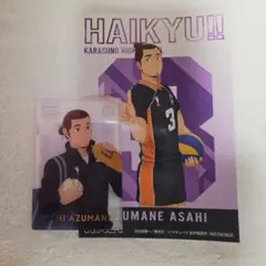 ハイキュー!! 東峰旭 グッズ 2点セット