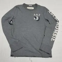 全盛期　Abercrombie & Fitch 長袖カットソー グレー　Sサイズ