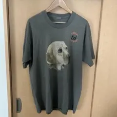 FRUIT OF THE LOOM tシャツ　グリーン