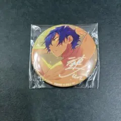 あんスタ　漣ジュン　バラエティ缶バッジ 9th vol2