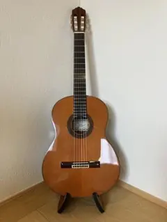 石原ガットギター中古 手工品第T100号 親和 2025年最新】ガットギターの