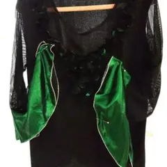 Item thumbnail for item 1c829201-c036-4497-992f-42ebe0be5997