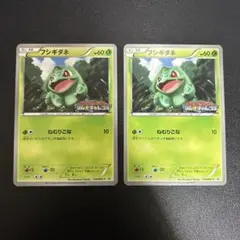 フシギダネ PROMO BW-Pプロモカード 124/BW-P - メルカリ