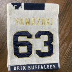 Item thumbnail for item b2bfc07f-3cb6-4ab0-a899-68b4665723a1