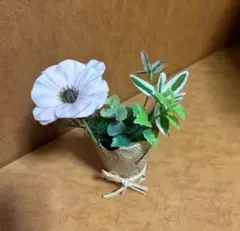 転生まんま様　専用