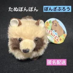 AMUSE たぬぽんぽん ぬいぐるみ マスコットVMC ぽんざぶろう - メルカリ