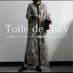 お値下げＢ✾稀少アンティーク調特特大ロココ調額縁✾キャンバス付 B✾稀少アンティーク調特特大ロココ調額縁✾キャンバス付