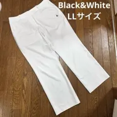 Item thumbnail for item 5a8c99a1-6036-4281-9077-2343dbca4155