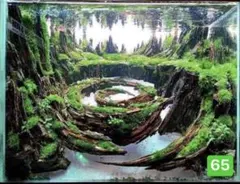 水槽用流木レイアウト 。水槽用流木アクアリウムレイアウト。水槽用流木 。盆栽