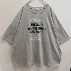 アベイル デニフィッツ ロゴ Ｔシャツ 丸首 半袖 4L ゆったり 灰色 綿混のサムネイル
