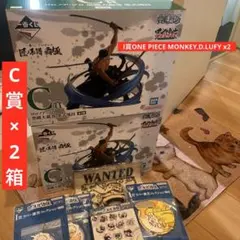 Item thumbnail for item c569a983-8dba-4a64-9acc-7230000ce577