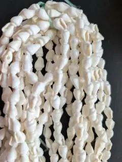 ハワイアンシェルレイ　12連 140cm