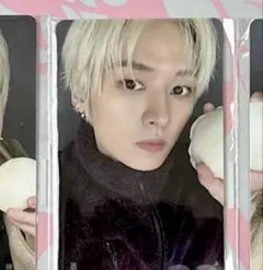 StrayKids スキズ fans プレリス トレカ リノ do it