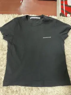 アレキサンダーワン　Tシャツ　Alexanderwang アレキサンダーのサムネイル