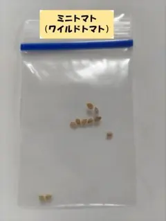 ラッタッタ様 リクエスト 6点 まとめ商品