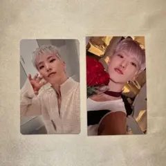 SEVENTEEN ホシ 会場限定トレカ 東京 大阪