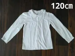 女児120㎝　ホワイトフリル付き長袖ブラウス