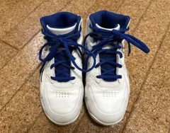 Item thumbnail for item 29afe35d-ca35-4634-8c22-e19fc0733ca4