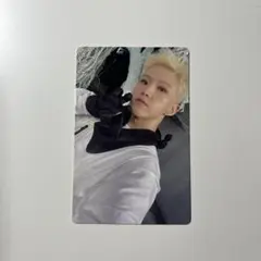 SEVENTEEN SECTOR 17 ホシ　トレカ