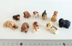 【未使用】犬 ミニチュア フィギュア 10体セットのサムネイル