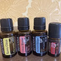doterra ドテラ ミネラル オリジナル 2本セット - メルカリ