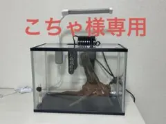 ガラス水槽フルセット 40cmサイズのサムネイル