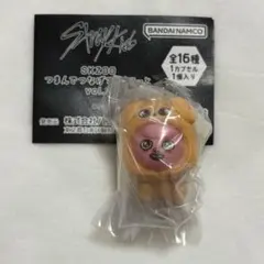 SKZOO つまんでつなげてますこっと vol.2 トェッキ チャンビン