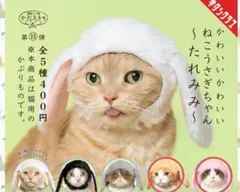 ねこのかぶりもの ねこうさぎちゃん たれみみ２点