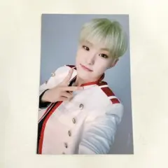 ホシ カラットゾーン ideal cut