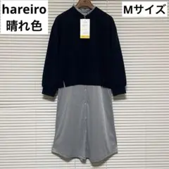 Item thumbnail for item fedca871-4709-4210-9939-abe217890636