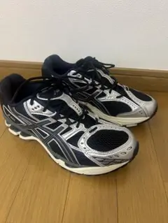 アシックスasics GEL-NIMBUS 10.1 25.5cm