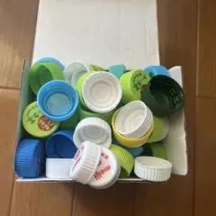 ペットボトルキャップ91個 + R1キャップ 7個