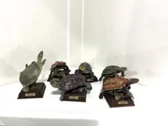 亀フィギュア まとめ売り