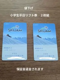 SKIJAM スキージャム 勝山 小学生 リフト券 平日 １日券 ２枚組 子ども