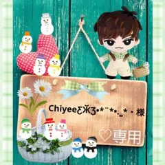 ChiyeeƸӁƷ•*¨*•.¸¸*・様専用　㉝・限定・Bセット☆
