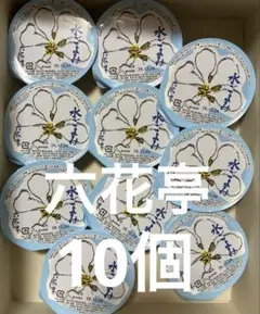 六花亭 水ごよみ 10個セット　水羊羹　北海道 水ようかんのサムネイル