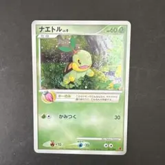 2025年最新】ナエトル 001/PPPの人気アイテム - メルカリ