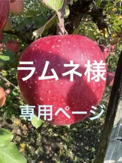 ラムネ様専用　2K