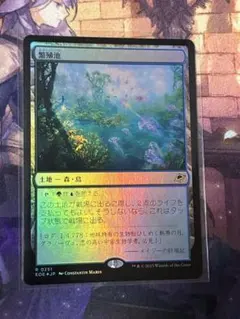 MTG 繁殖池/Breeding Pool 1枚英語 - メルカリ